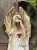 IMG_8078.jpeg