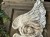 IMG_8102.jpeg