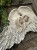 IMG_8106.jpeg