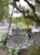 IMG_8256.jpeg