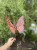 IMG_8252.jpeg