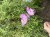 IMG_8254.jpeg