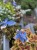 IMG_8241.jpeg