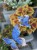 IMG_8243.jpeg