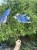IMG_8245.jpeg