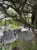 IMG_8255.jpeg