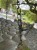 IMG_8259.jpeg