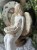 IMG_8267.jpeg