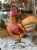 IMG_8277.jpeg