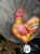 IMG_8273.jpeg