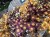 IMG_8284.jpeg