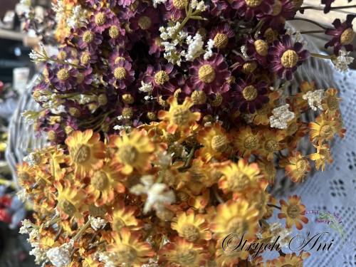 IMG_8285.jpeg