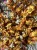 IMG_8288.jpeg