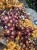 IMG_8284.jpeg