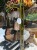 IMG_8296.jpeg