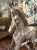 IMG_8304.jpeg