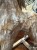 IMG_8305.jpeg