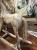 IMG_8306.jpeg