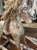IMG_8308.jpeg