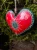 image-1378384894359155.webp