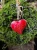 image-1382568723757768.webp