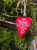 image-1018065821091990.webp