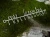 image-2083558735882863.webp
