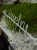 image-4399059570349124.webp