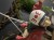 IMG_8359.jpeg