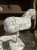 IMG_8375.jpeg