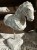 IMG_8374.jpeg