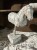IMG_8373.jpeg