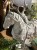 IMG_8371.jpeg