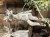 IMG_8386.jpeg