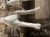 IMG_8388.jpeg