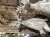 IMG_8389.jpeg
