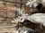IMG_8390.jpeg