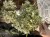 IMG_8424.jpeg