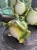 image-1065964389437663.webp
