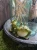 image-4410333955855146-1.webp
