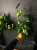 image-1070206699020551.webp
