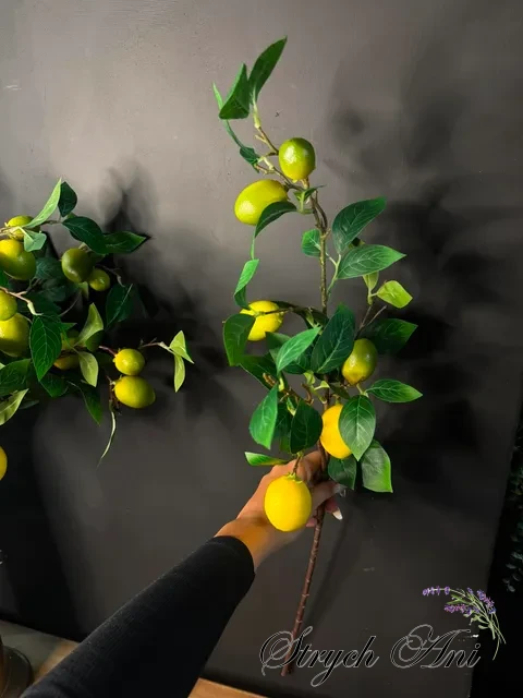 image-1070206699020551.webp