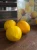 image-1044537591364007.webp