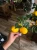 image-1461186792438853.webp