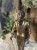 IMG_8466.jpeg
