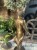 IMG_8470.jpeg
