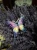 image-2507223419793356.webp