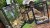 549065359_1434411571861249_7415150761594447104_n.jpg