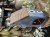 IMG_8580.jpeg