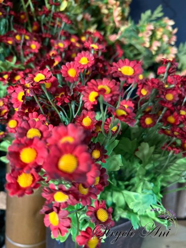 729080947_1502545950878347_7568614389555626072_n.png.jpeg